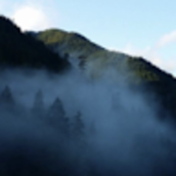 Meet your Posher, Oksana - Picture 1 of 1